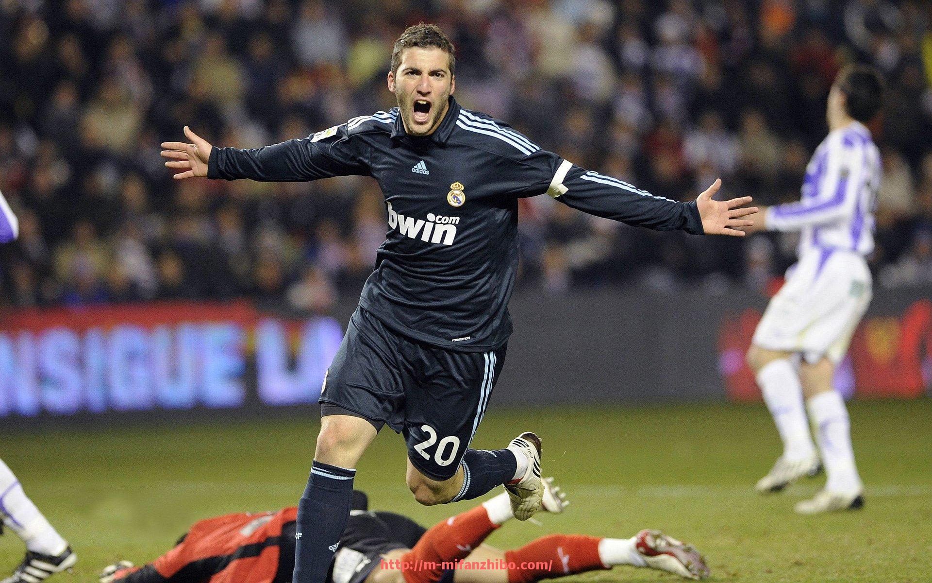 秘饭直播-广州多功能健身器材品牌及采购指南